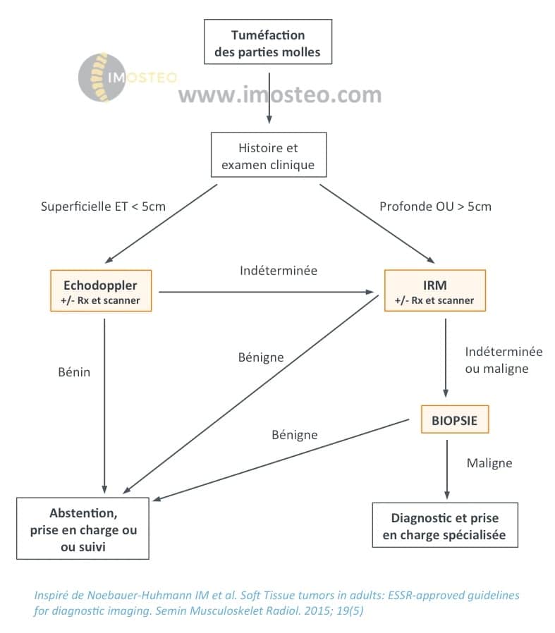 arbre-decisionnel-diagnostique-tumefactions