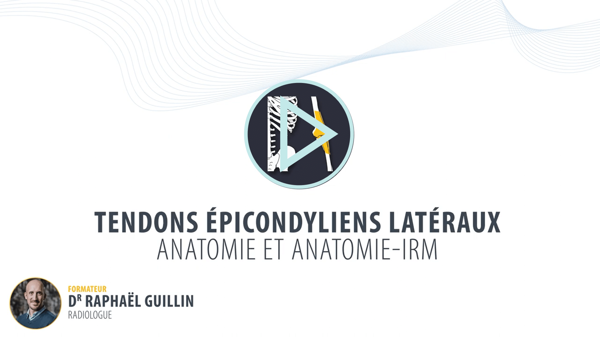 Anatomie IRM du tendon commun des épicondyliens latéraux