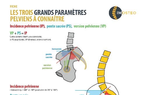 Les 3 grands paramètres pelviens, par Gérard Morvan